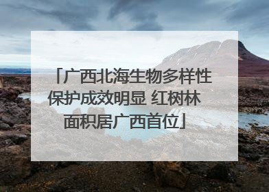 广西北海生物多样性保护成效明显 红树林面积居广西首位